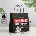 Пакет Потому что нормально надо отвечать... 22х22х11см крафт 6249080