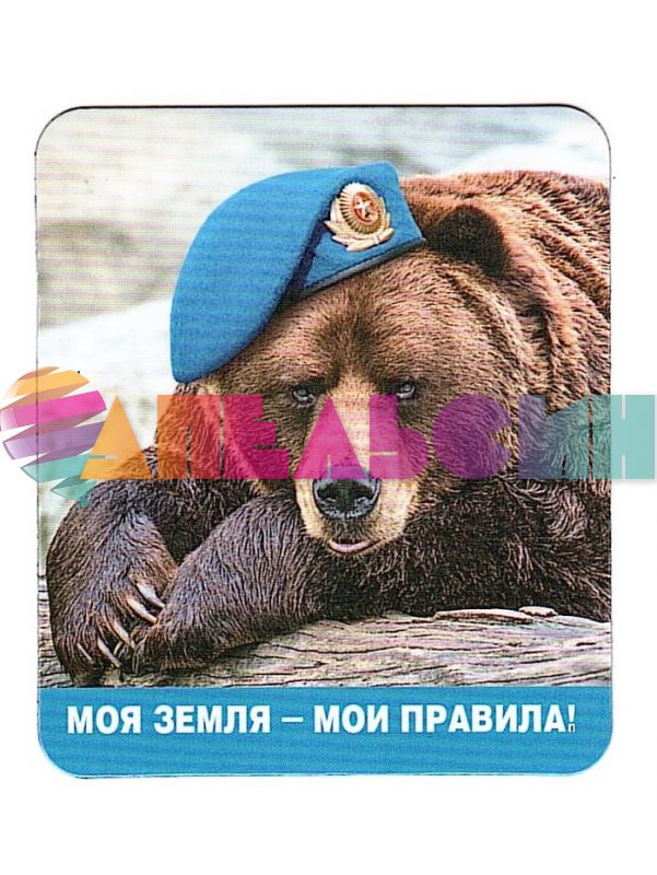 Магнит Моя земля, мои правила 6х7см 51.15.209-РАСПРОДАЖА