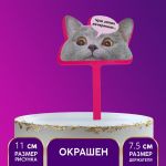 Топпер Чую запах вечеринки 8х11см акрил 7917315