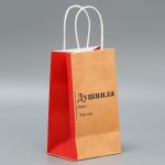 Пакет Душнила 12х21х9см крафт 9304738