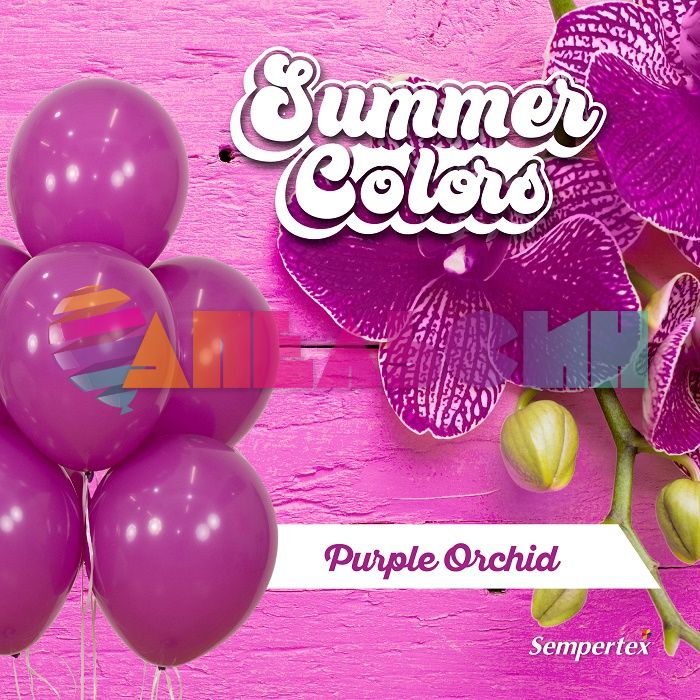 Шар пастель Розовый S24"/76см (056) Purple Orchid Пурпурная орхидея 3шт/уп (Колумбия) 396217