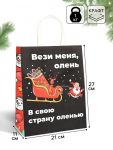 Пакет Вези меня олень в свою страну оленью 21х27х11см крафт 10576089