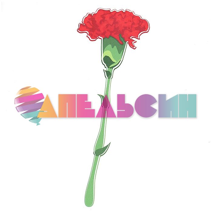 Наклейка Гвоздика 07х20см АП-96-1