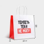 Пакет Терпеть тебя не могу 22х22х11см крафт 5114102