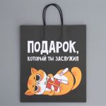Пакет Подарок который ты заслужил 28х32х15см крафт 9304740