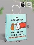 Пакет Не парьтесь уже скоро новый год будет прошлогодним 21х27х11см крафт 10576084
