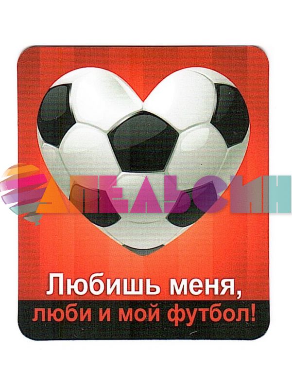 Магнит Любишь меня, люби и мой футбол 6х7см 51.13.088