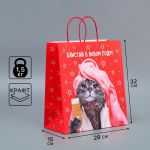 Пакет Блистай в НГ 28х32х15см крафт 9524142