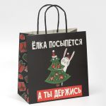 Пакет Елка посыпется а ты держись 22х22х11см крафт 7661224