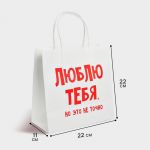Пакет Люблю тебя но это не точно 22х22х11см крафт 4464416